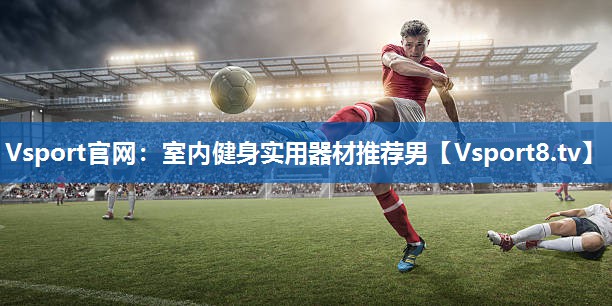 <strong>Vsport官网：室内健身实用器材推荐男</strong>