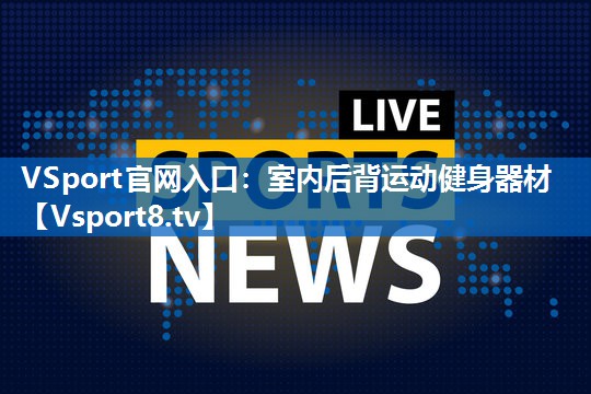 VSport官网入口：室内后背运动健身器材