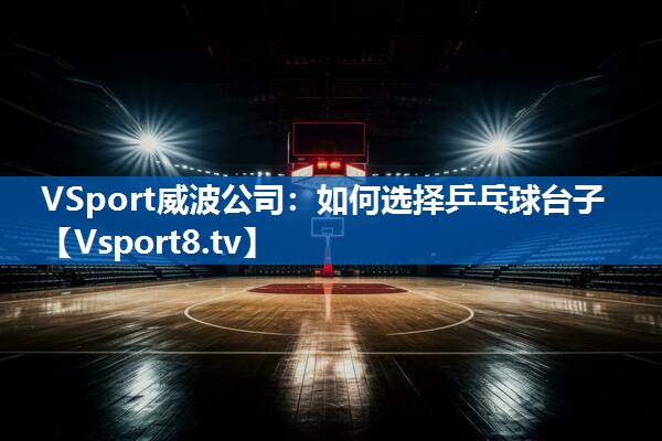 VSport威波公司：如何选择乒乓球台子
