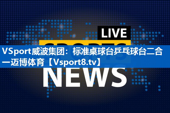 <strong>VSport威波集团：标准桌球台乒乓球台二合一迈博体育</strong>