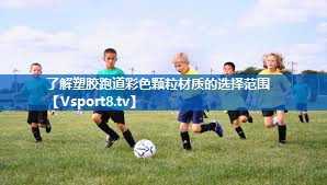 了解塑胶跑道彩色颗粒材质的选择范围