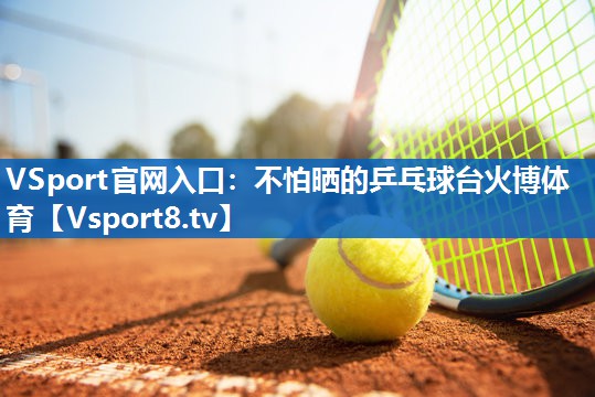 VSport官网入口：不怕晒的乒乓球台火博体育