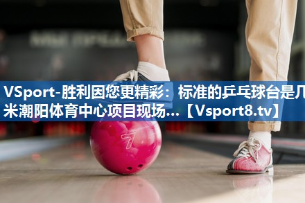 VSport-胜利因您更精彩：标准的乒乓球台是几米潮阳体育中心项目现场…