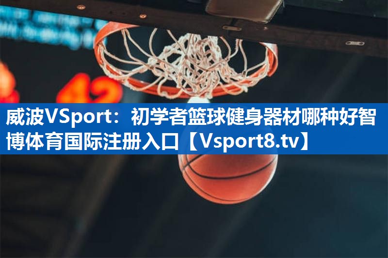 威波VSport：初学者篮球健身器材哪种好智博体育国际注册入口