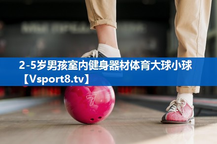 2-5岁男孩室内健身器材体育大球小球