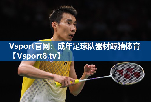 Vsport官网：成年足球队器材鲸猜体育