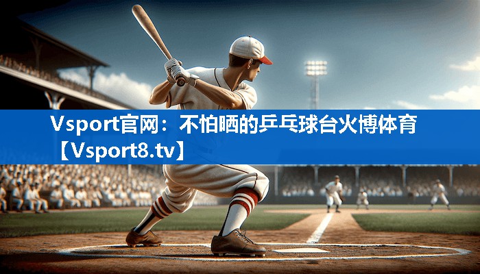 Vsport官网：不怕晒的乒乓球台火博体育