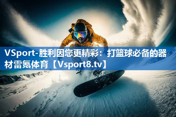 VSport-胜利因您更精彩：打篮球必备的器材雷氪体育