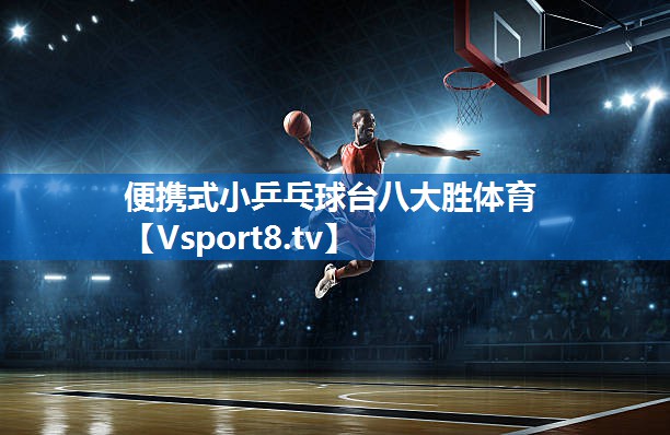 便携式小乒乓球台八大胜体育