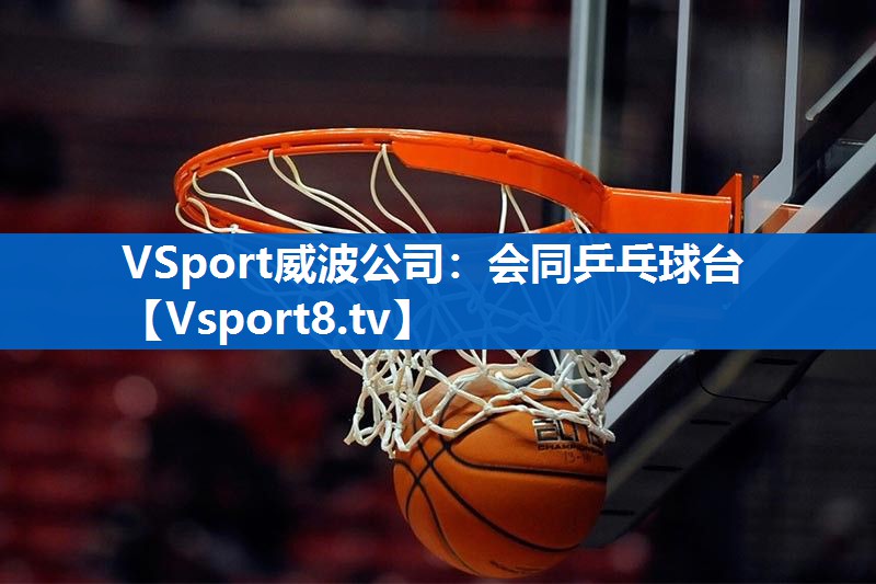 VSport威波公司：会同乒乓球台