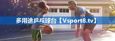 多用途乒乓球台