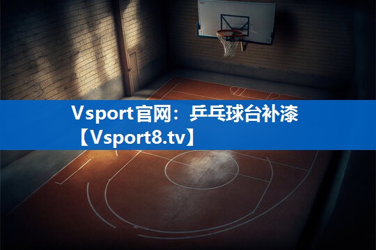<strong>Vsport官网：乒乓球台补漆</strong>