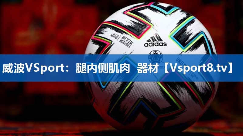<strong>威波VSport：腿内侧肌肉 器材</strong>