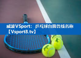 威波VSport：乒乓球台面各线名称