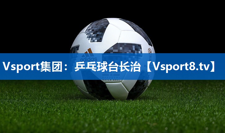 Vsport集团：乒乓球台长治
