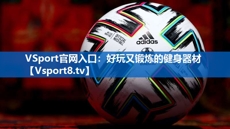 VSport官网入口：好玩又锻炼的健身器材