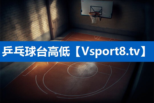 乒乓球台高低