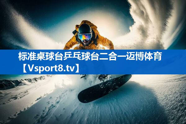 标准桌球台乒乓球台二合一迈博体育