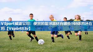 <strong>VSport威波公司：便宜的篮球器材有哪些168体育还在吗</strong>