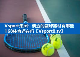 Vsport集团：便宜的篮球器材有哪些168体育还在吗