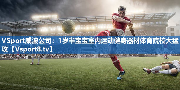 <strong>VSport威波公司：1岁半宝宝室内运动健身器材体育院校大猛攻</strong>