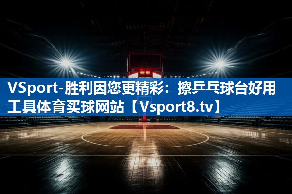 <strong>VSport-胜利因您更精彩：擦乒乓球台好用工具体育买球网站</strong>
