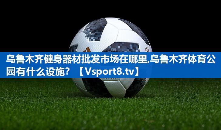 <strong>乌鲁木齐健身器材批发市场在哪里,乌鲁木齐体育公园有什么设施？</strong>