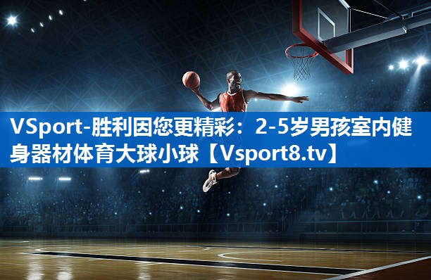 VSport-胜利因您更精彩：2-5岁男孩室内健身器材体育大球小球