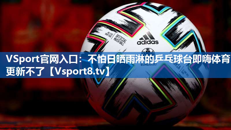 VSport官网入口：不怕日晒雨淋的乒乓球台即嗨体育更新不了