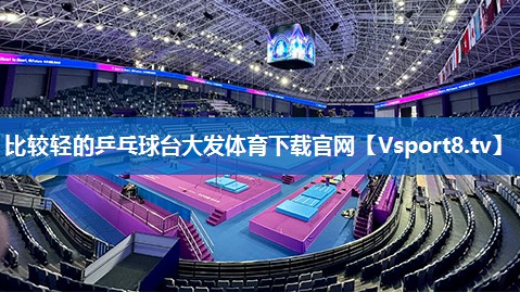 比较轻的乒乓球台大发体育下载官网