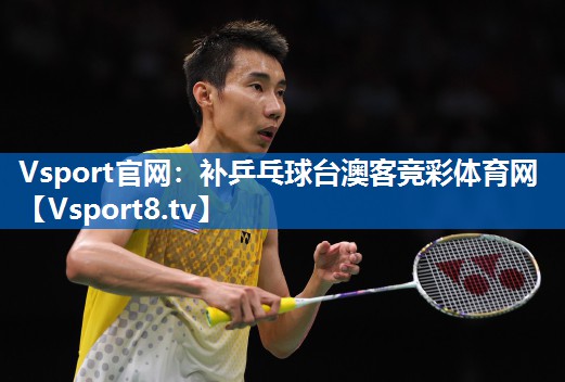 Vsport官网：补乒乓球台澳客竞彩体育网