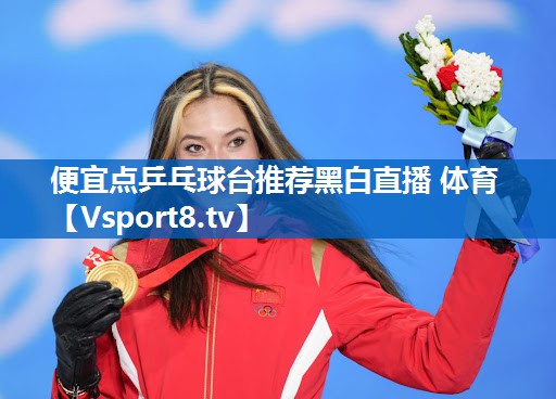 便宜点乒乓球台推荐黑白直播 体育