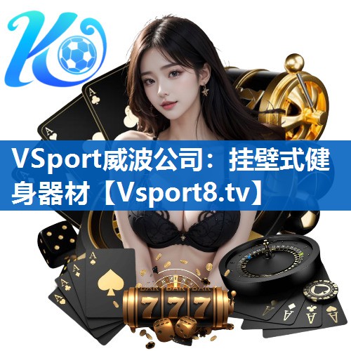VSport威波公司：挂壁式健身器材