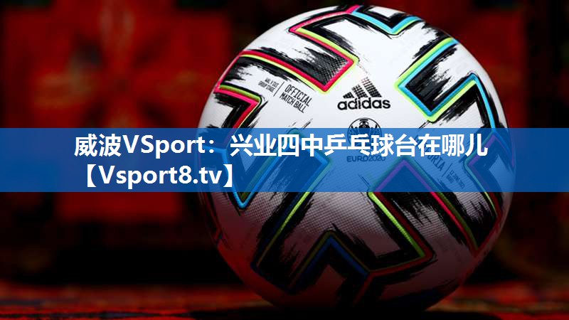 威波VSport：兴业四中乒乓球台在哪儿