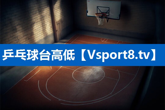 乒乓球台高低